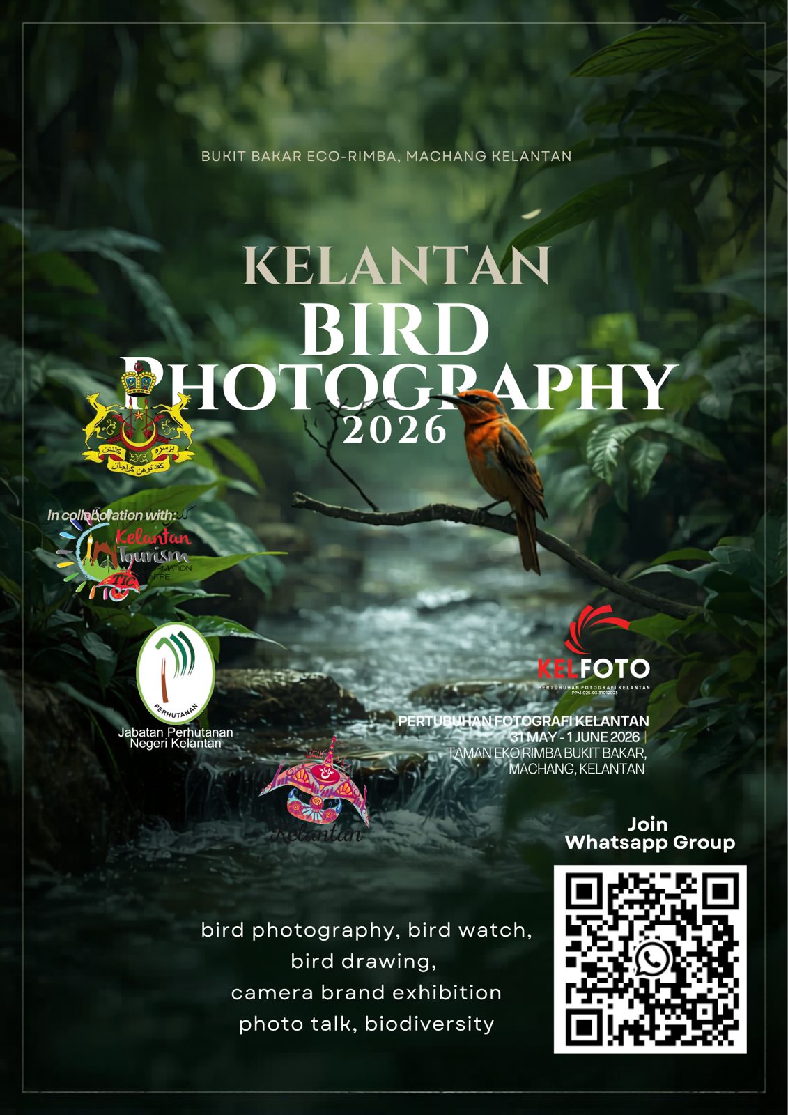 Kelantan Bird Photography 2026